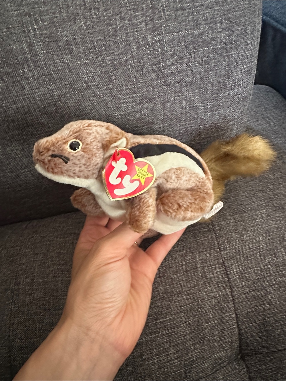 TY Beanie Baby Chipmunk Plush - Brown and White